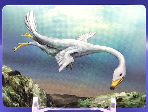 Cartes halszkaraptor - halszkaraptor, /