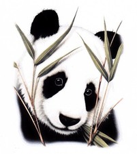 TEE SHIRT Haute Qualité ; PANDA BAMBOU / Dispo :  S  M  L  XL  XXL  XXXL + enf  