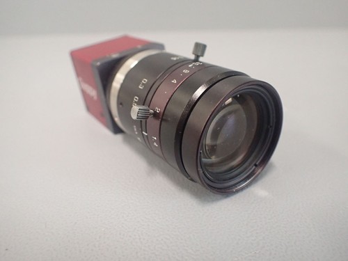 Gf080b guppy - ,