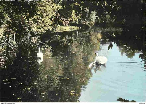 Carte postale - carte,