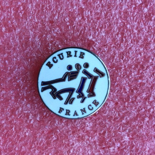 T06 pins cheval ecurie france - pins,