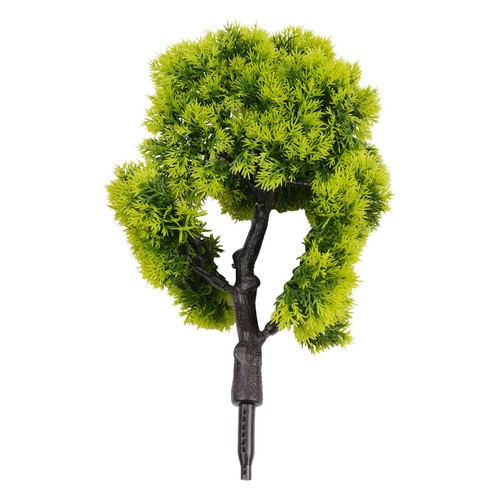 Arbre pin petit - pin, lotus