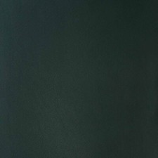 Morceau de cuir SWEET 2 - VERT