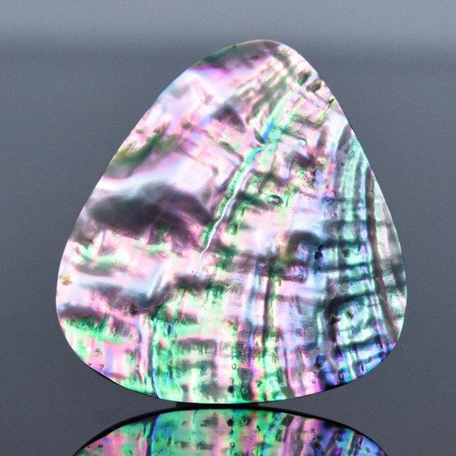 Cabochon fancy coquillage - en,
