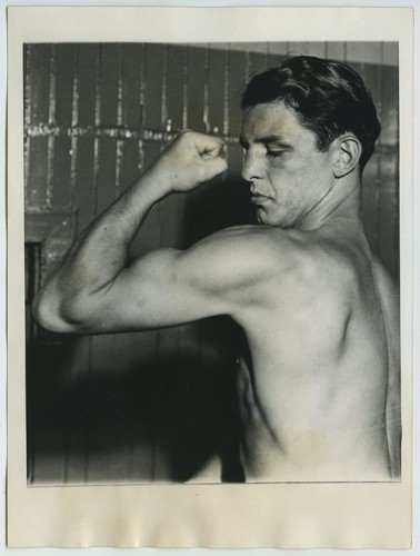 Boxeur anglais jack - le,