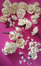 Roses à sucre 7 x 8-10 cm de