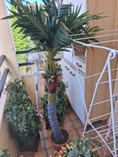 Palmier Artificielle