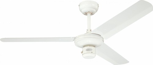 Ventilateur plafond avec - de,