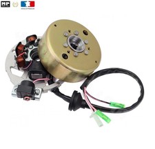 Allumage Rotor Platine