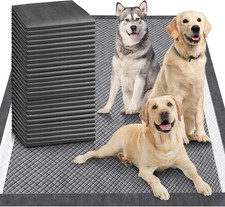 Charcoal Pee Pads Odor Control
