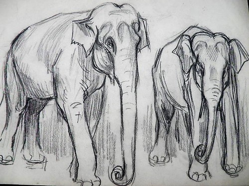 Fernel dessin original - fernel,