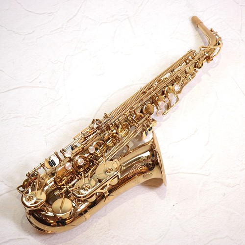 Yanagisawa 800 alto - yanagisawa, a-800