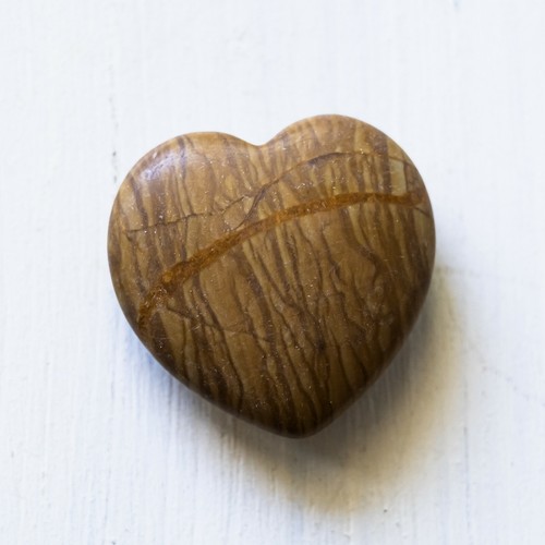 Coeur bois fossilisé - bois,