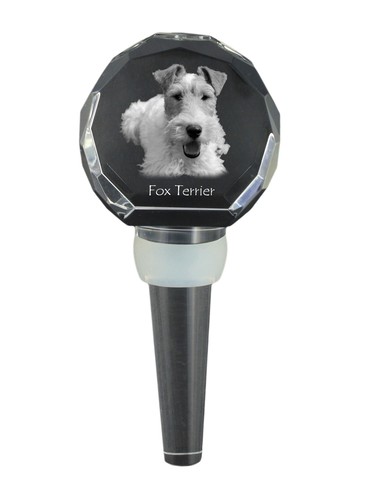 Fox terrier drahthaar - fox, drahthaar,
