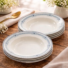 Lot de 10 Assiettes à Soupe