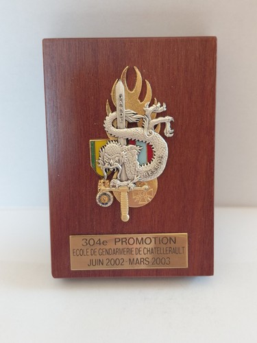 Insigne 304e promotion - de, la
