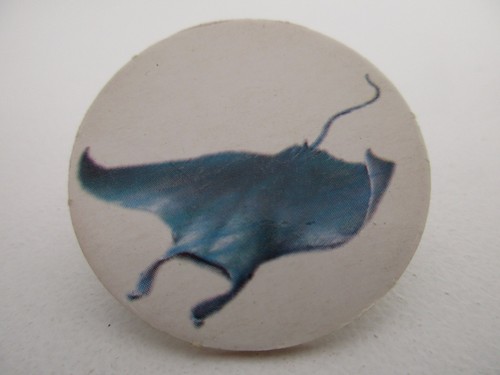 Pog larousse série animaux - pog,