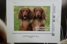 FRANCE 2024 timbre AUTOADHESIF COLLECTOR CHIENS CHIOTS TECKEL neuf** MNH