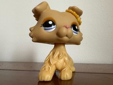 Petshop colley n°1194 de collection de 2007 en très bon état