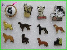 pin's divers Race de CHIEN Dog Hund Husky Briard Teckel Boxer Schnauzer #1192