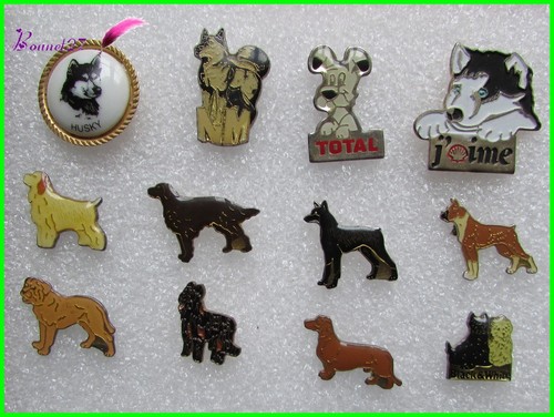 Pin divers race chien dog - pin's,