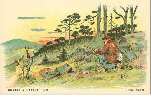 Chasse affut - a, l'affut.chasse