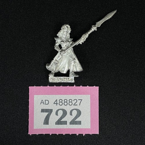 Maiden guard trooper haut elfe - guard,