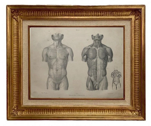 Gravure lithographie xix - gravure, xix°