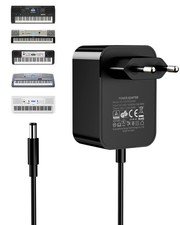 12V/2A Chargeur pour Clavier