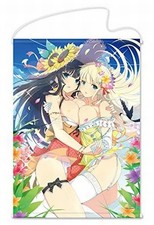 Tapisserie Ikaruga & Ei B2 Tapestry "Senran Kagura NewWave G Burst"