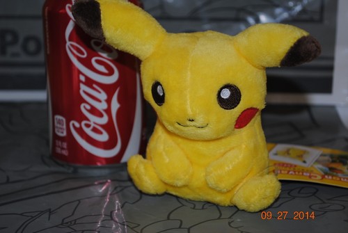 Pokemon center canvas pikachu - center,