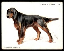 GORDON SETTER 1933 JOHN
