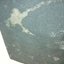 Banquette arriere (KIT DERIV