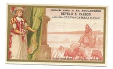 Mme Deshouilléres -- Chromo Deveau & Cardon - Trade card
