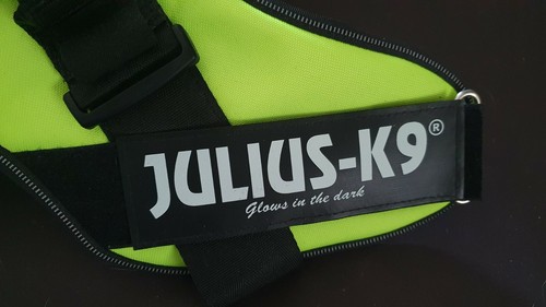 Julius pour chien - pour,