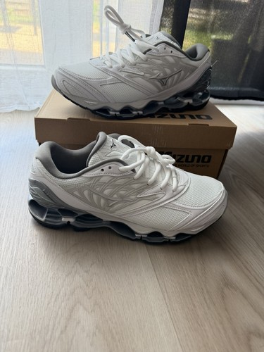 Mizuno wave prophecy - mizuno,