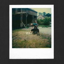 Chiens homme garage bois