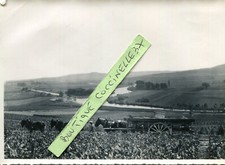 PHoto de la vendange avec attelage de chevaux Boucle de la rivière A identifier