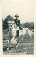 Österreich, Spanische Hofreitschule Wien. Pirouette links  Vintage silver print.