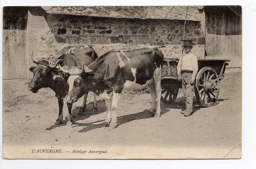 Agriculture campagne vie - agriculture,