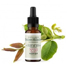 Fleur de Bach bio n°33 -
