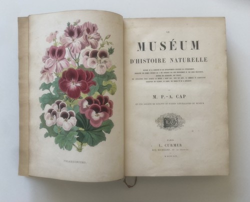 Cap le muséum - cap,