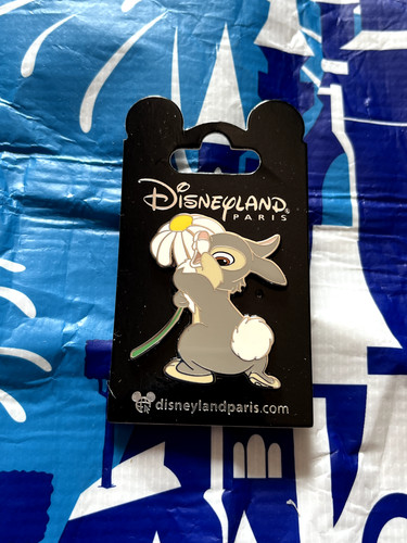 Disney pin trading - pin, dlp