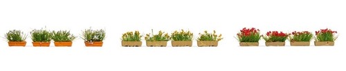 Noch jardinières de fleurs - -,