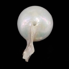 Mer du Sud 16,1 x 9,8 x 9,7 mm