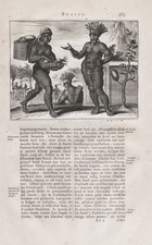 Brésil Brésilien Indiens