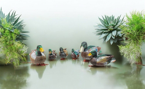 Décoration pour canards - décoration, en