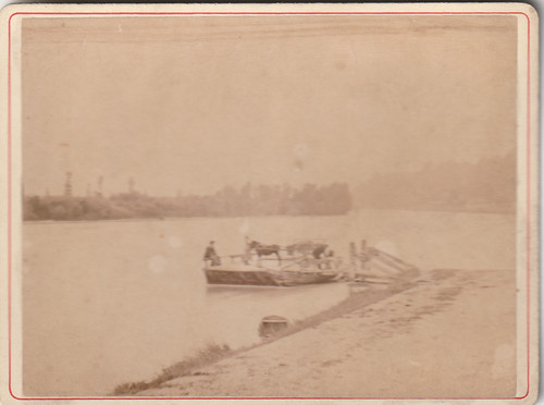 Barge charrette mulet parc - mulet,