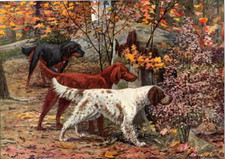 Antique Dog Artwork: Louis A