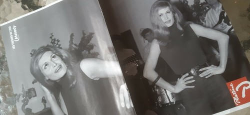 Dalida poster - dalida,